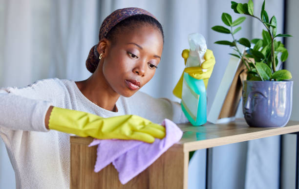 Woman Cleaning Table